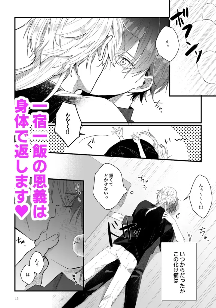拾った猫が化け猫だった