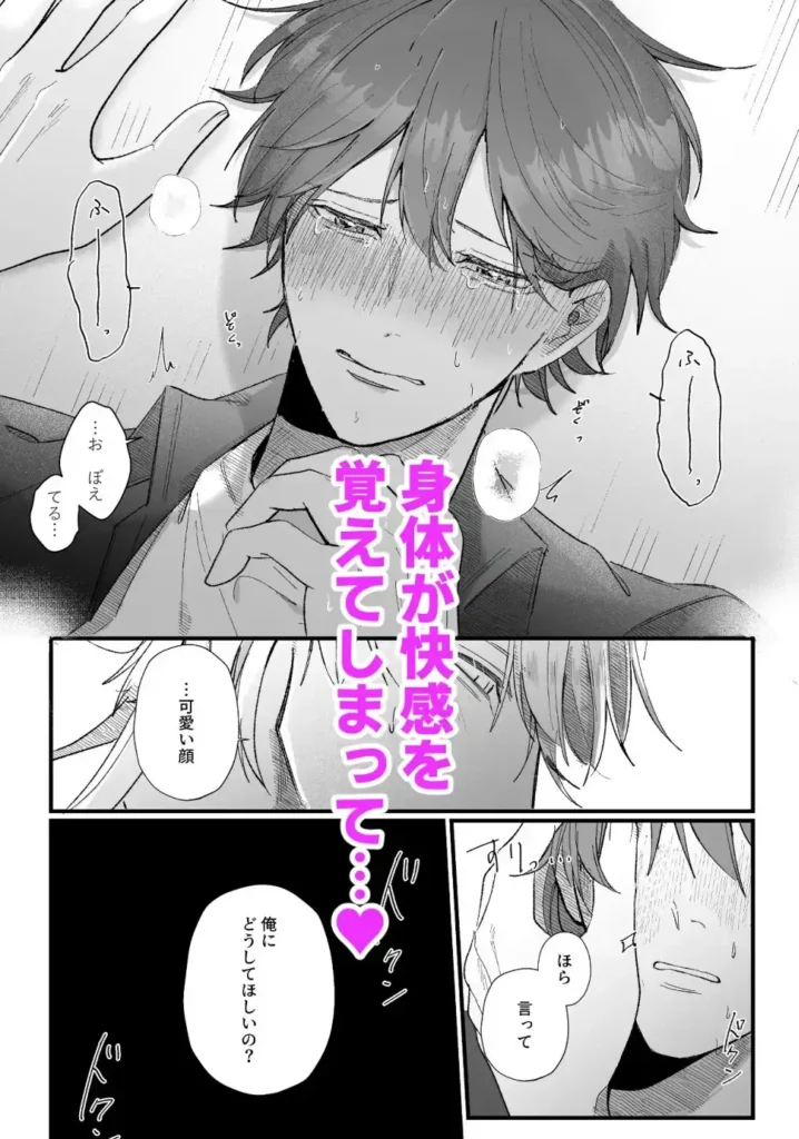 拾った猫が化け猫だった